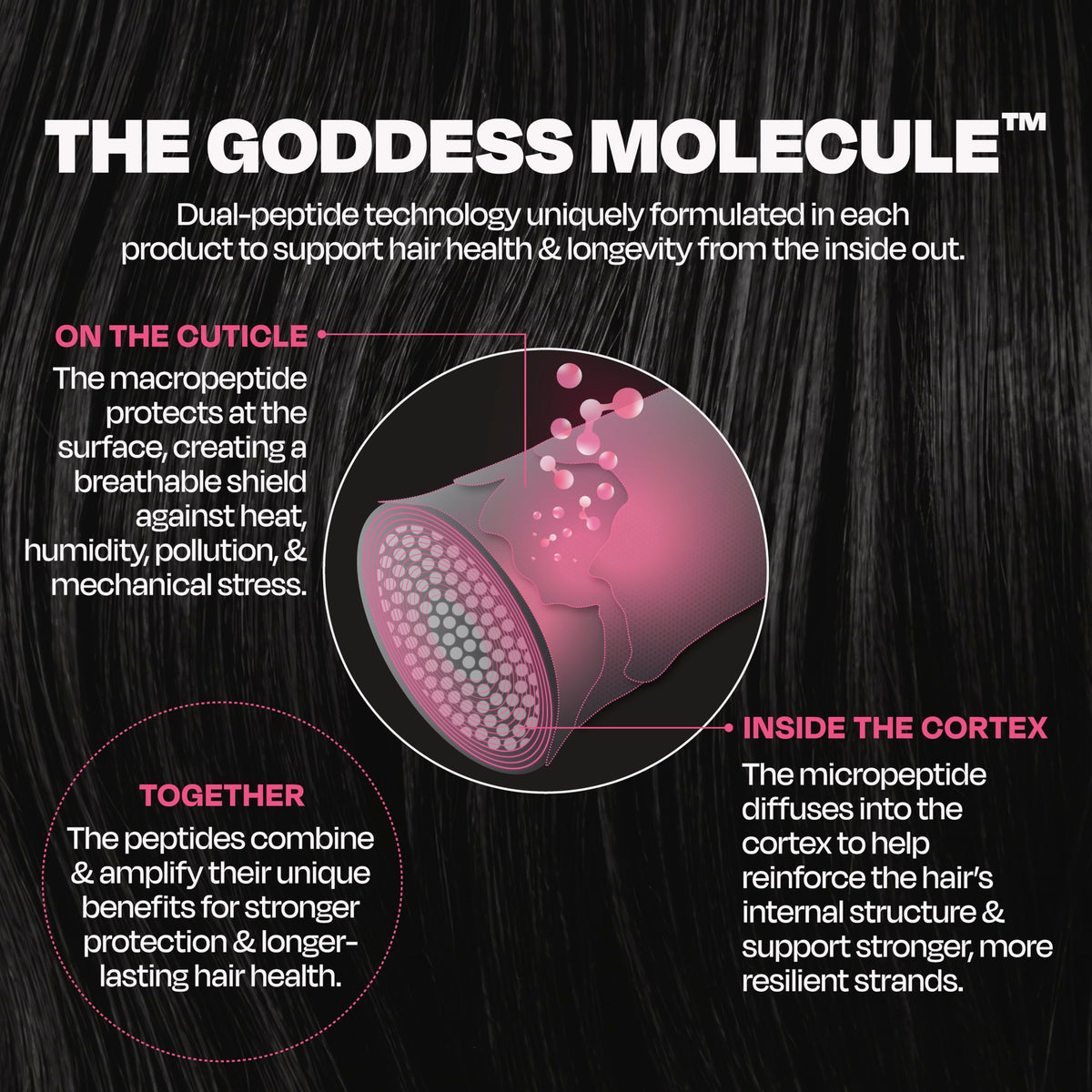 Goddess Maintenance ingredient graphic highlighting Goddess Molecule science