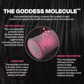 Goddess Maintenance ingredient graphic highlighting Goddess Molecule science