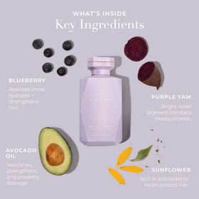 goldie locks blueberry and purple yam botanicals boosting shine