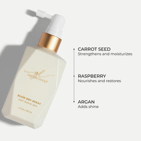 Goldie Locks hair texture after blowout, smooth frizz control and lasting shine