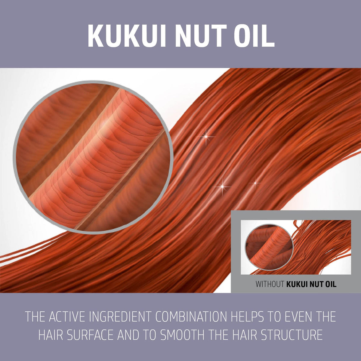 Goldwell kukui nut oil close-up highlighting moisturizing ingredient