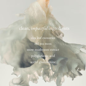 goop red sea moss ingredient display showing marine extract and barrier support benefit