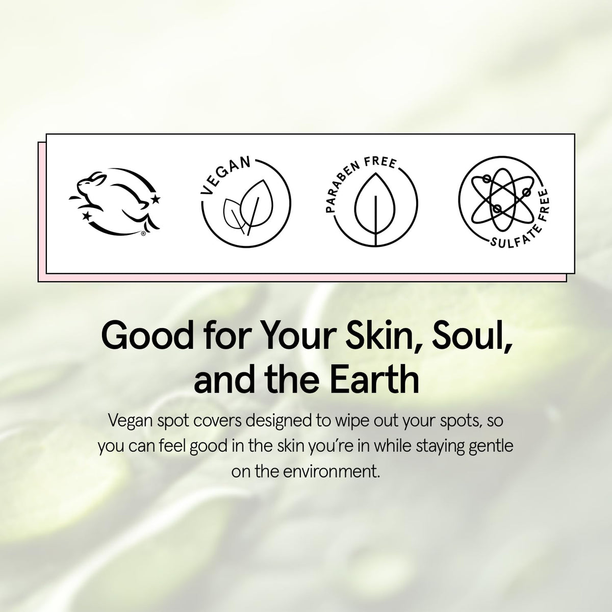 grace & stella ingredient illustration of tea tree and salicylic benefits