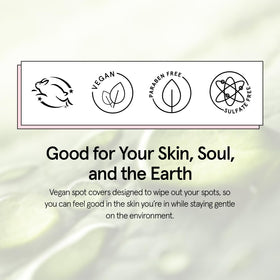 grace & stella ingredient illustration of tea tree and salicylic benefits