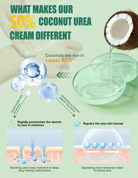 Grocerism coconut and botanical ingredients illustrating natural nourishment