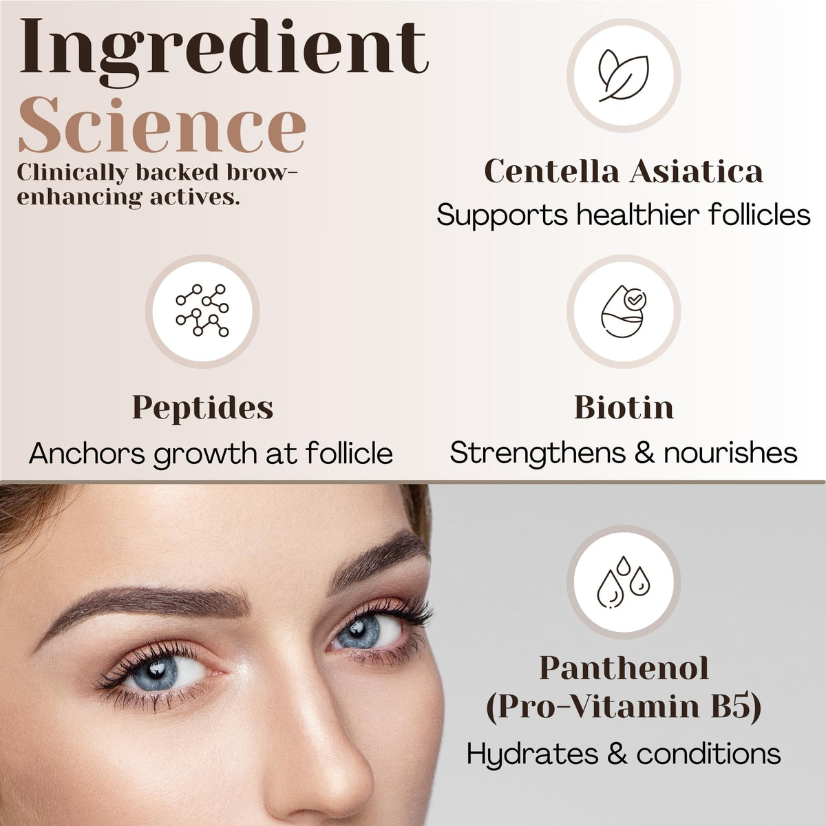 Grow Labs before and after brows illustration showing fuller, defined results