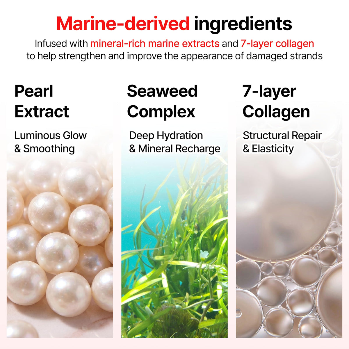 GROWUS label close-up highlighting marine collagen and pearl protein