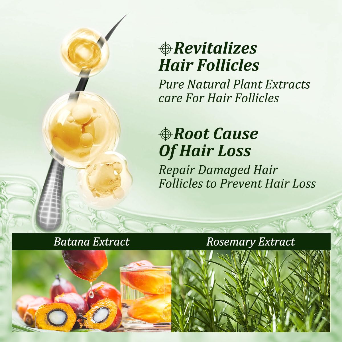 Gypsophila rosemary extract leaves emphasizing natural-strength benefit