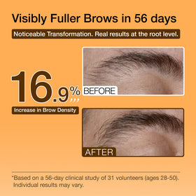 Hair Labs illustrated before and after brows showing improved fullness