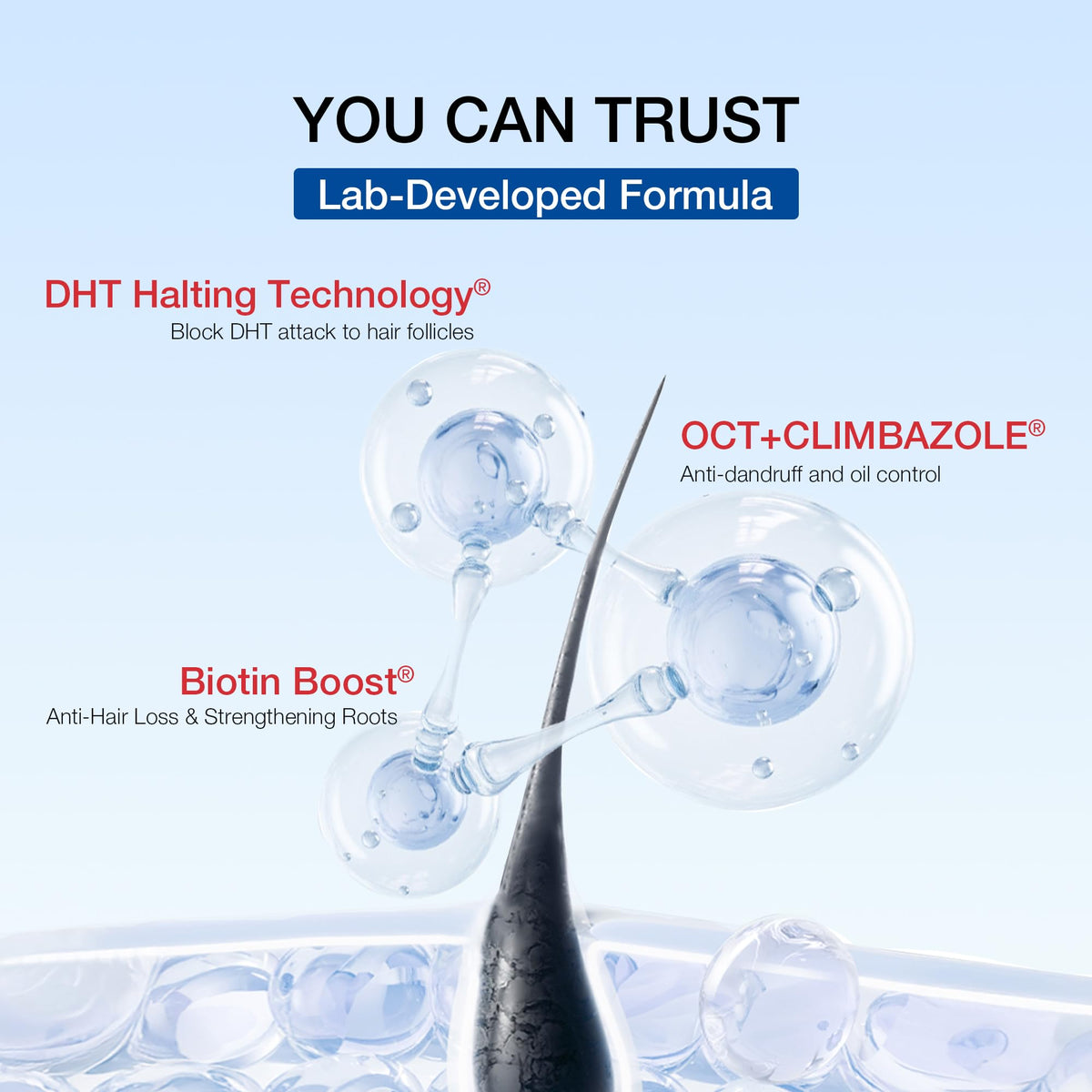 Hair Labs label close-up showing active DHT-targeting ingredient list