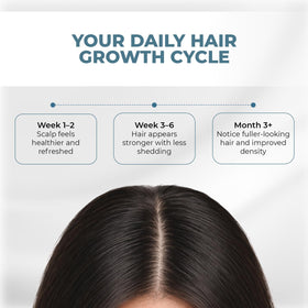 HAIRMETTO before and after scalp illustration showing thicker look