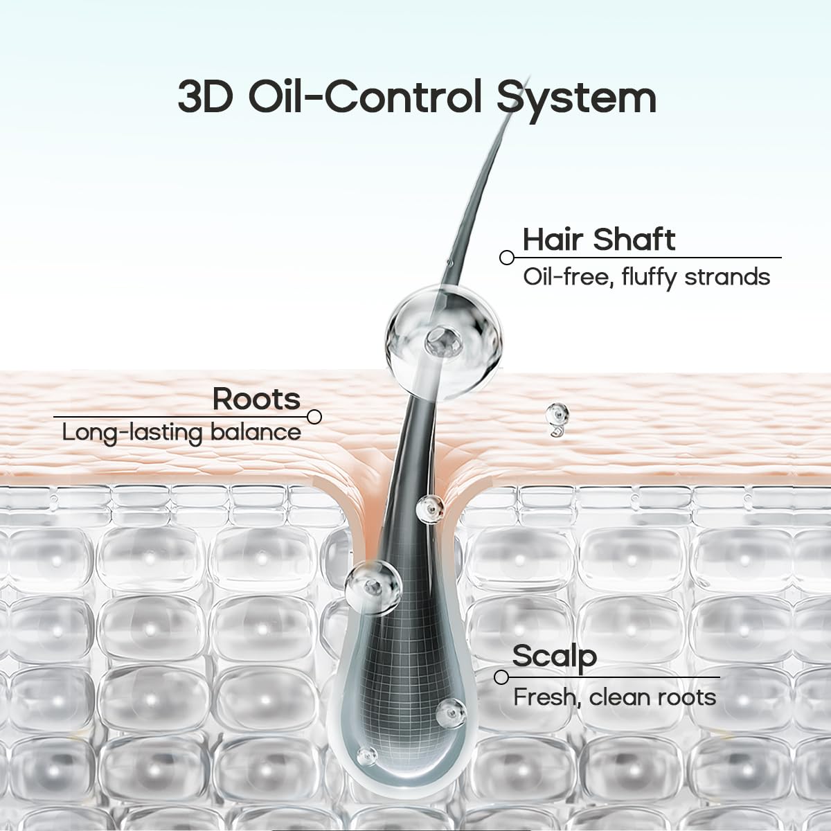 HALOVIDA before and after roots comparison showing instant lift and oil reduction