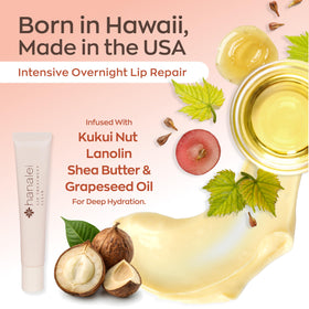 Hanalei ingredients flatlay with kukui and grapeseed oils for antioxidant care