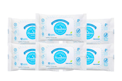 Handzies front packaging showing brand and travel pack convenience