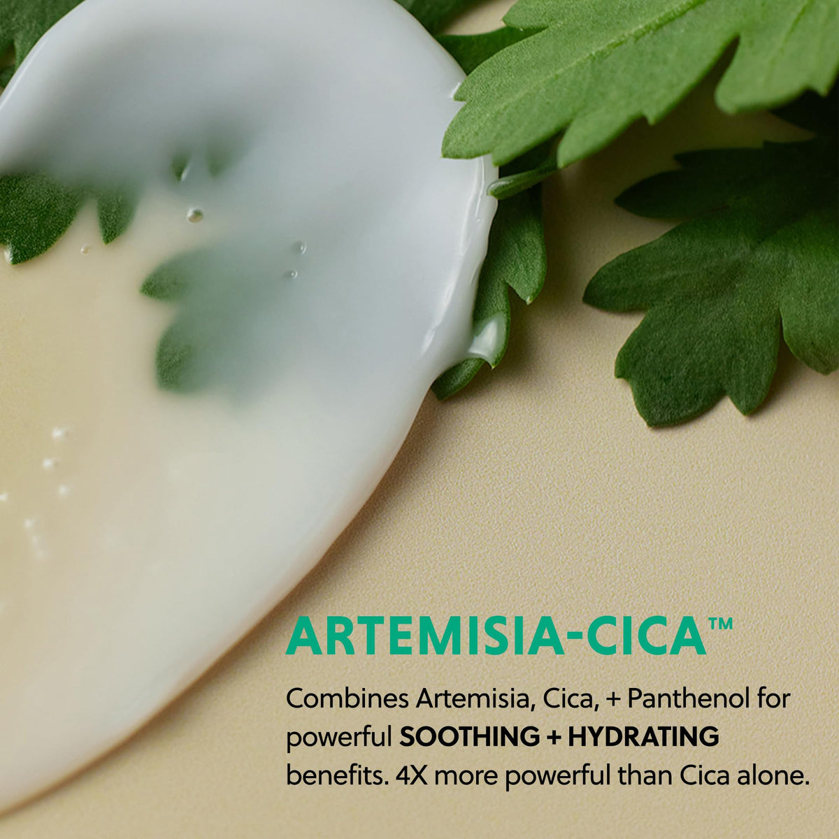 Hanyul Artemisia leaves ingredient shot emphasizing soothing botanical benefits