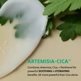 Hanyul Artemisia leaves ingredient shot emphasizing soothing botanical benefits