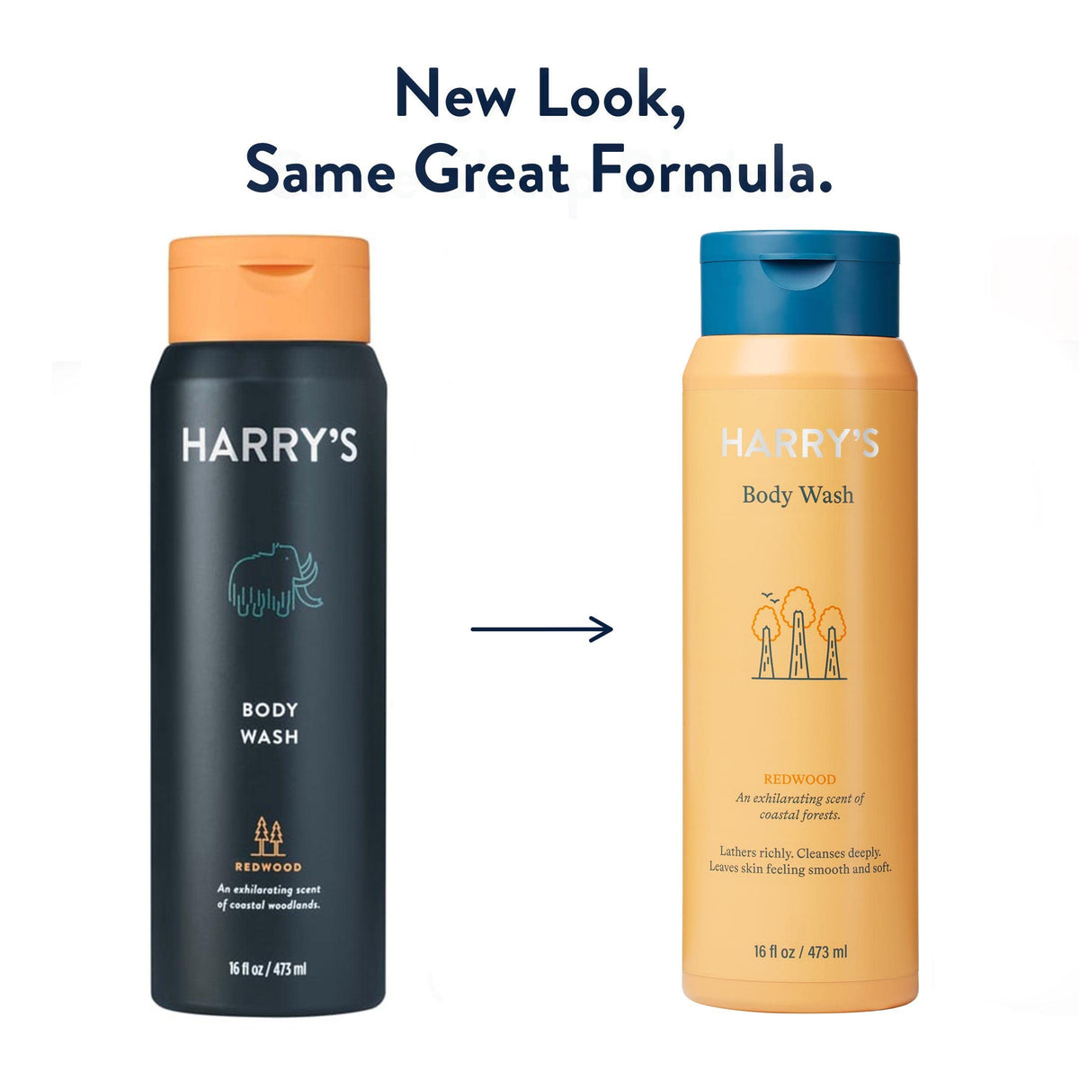 Harry's redwood ingredients label close-up showing sulfate-free formulation benefits