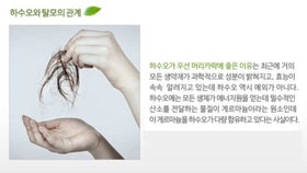 hasuo shampoo in use on wet hair illustrating gentle massage and rinse