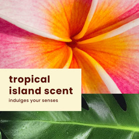 Hawaiian Tropic products in use at beach conveying sun care and post-sun comfort