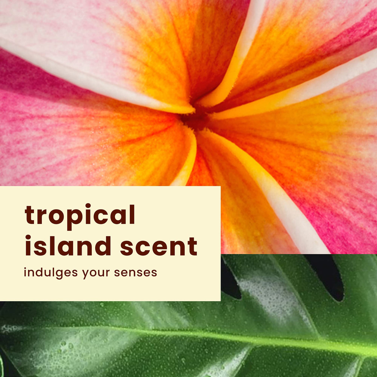 Hawaiian Tropic pack beside travel items showing portable face lotion
