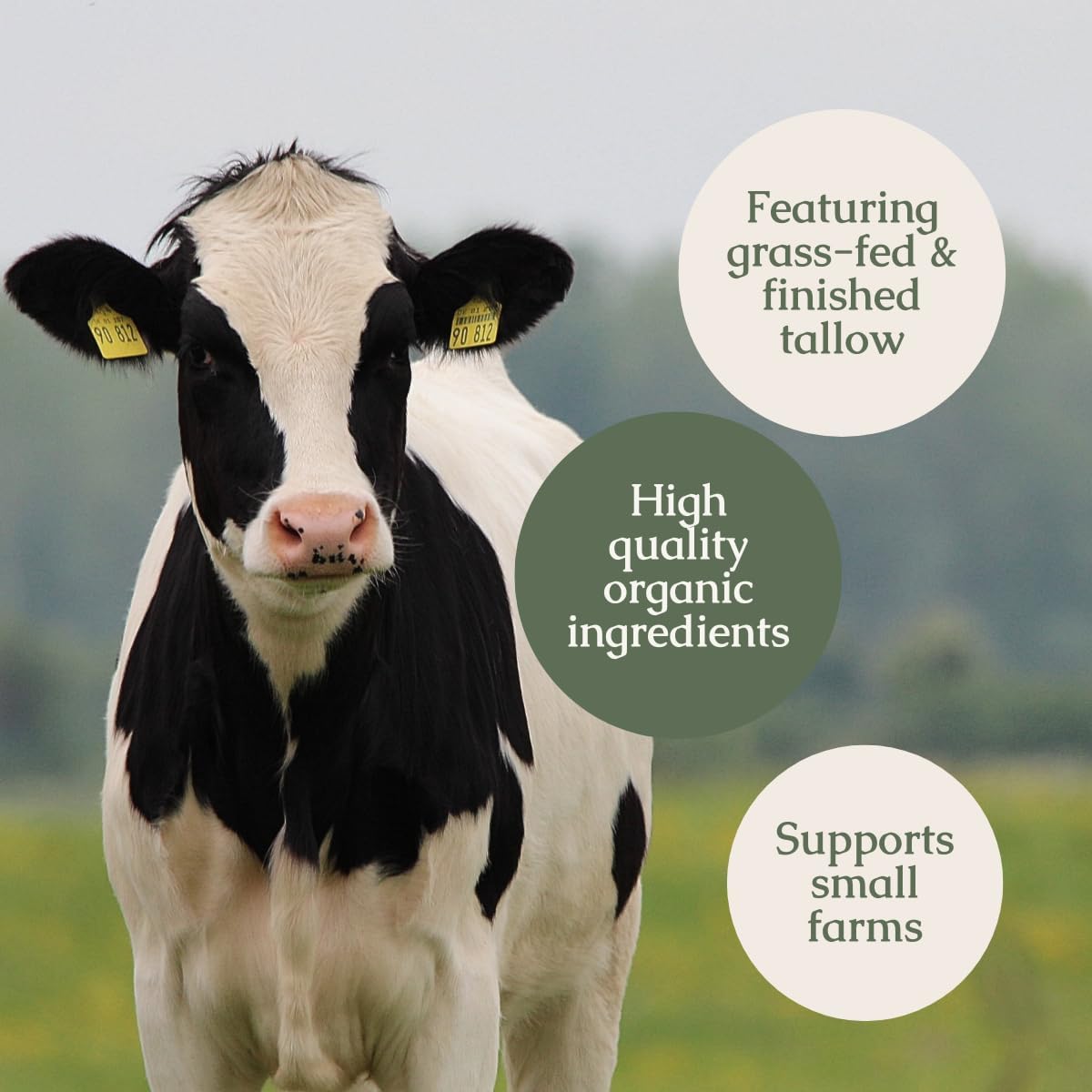Hearth and Homestead pipette releasing a drop highlighting concentrated nourishment