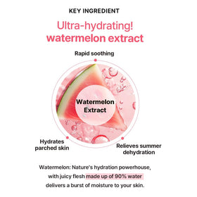 HEIMISH watermelon extract close-up illustrating botanical hydration benefit
