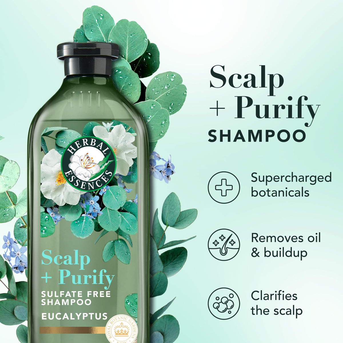 Herbal Essences shampoo close-up label and nozzle highlighting gentle cleanse