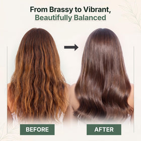 Herbishh shiny hydrated brunette after use illustrating improved manageability