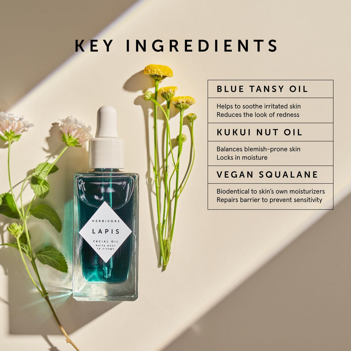 HERBIVORE blue tansy flowers and botanicals illustrating soothing ingredient benefits