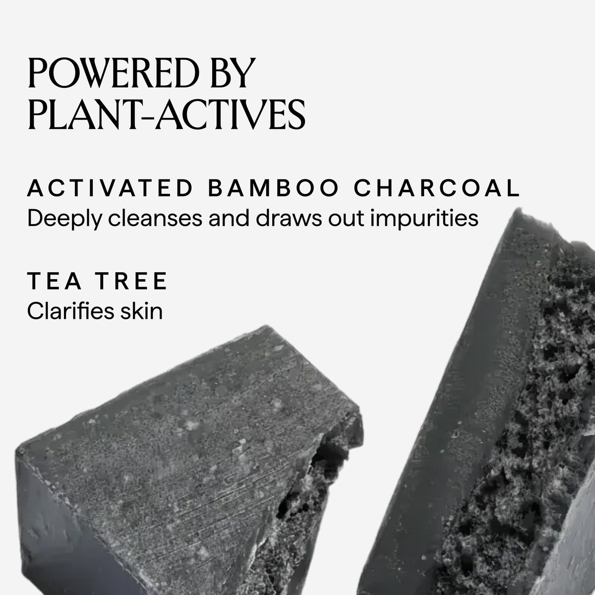 HERBIVORE close-up of charcoal texture for gentle exfoliation