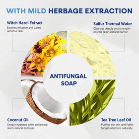 Hermon soap next to coin showing compact travel-friendly size