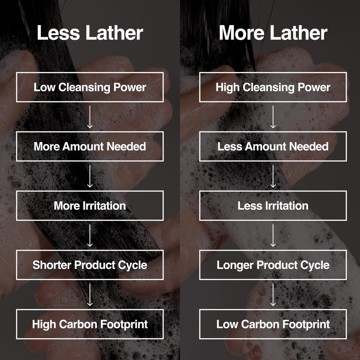 Hesul fermented soybeans ingredient display showing natural nutrient benefit