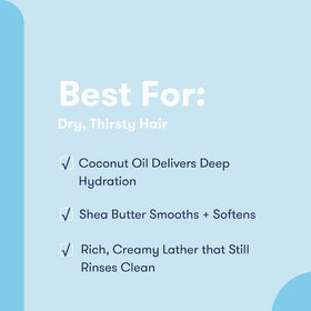 HIBAR shampoo bar texture close-up highlighting creamy lather