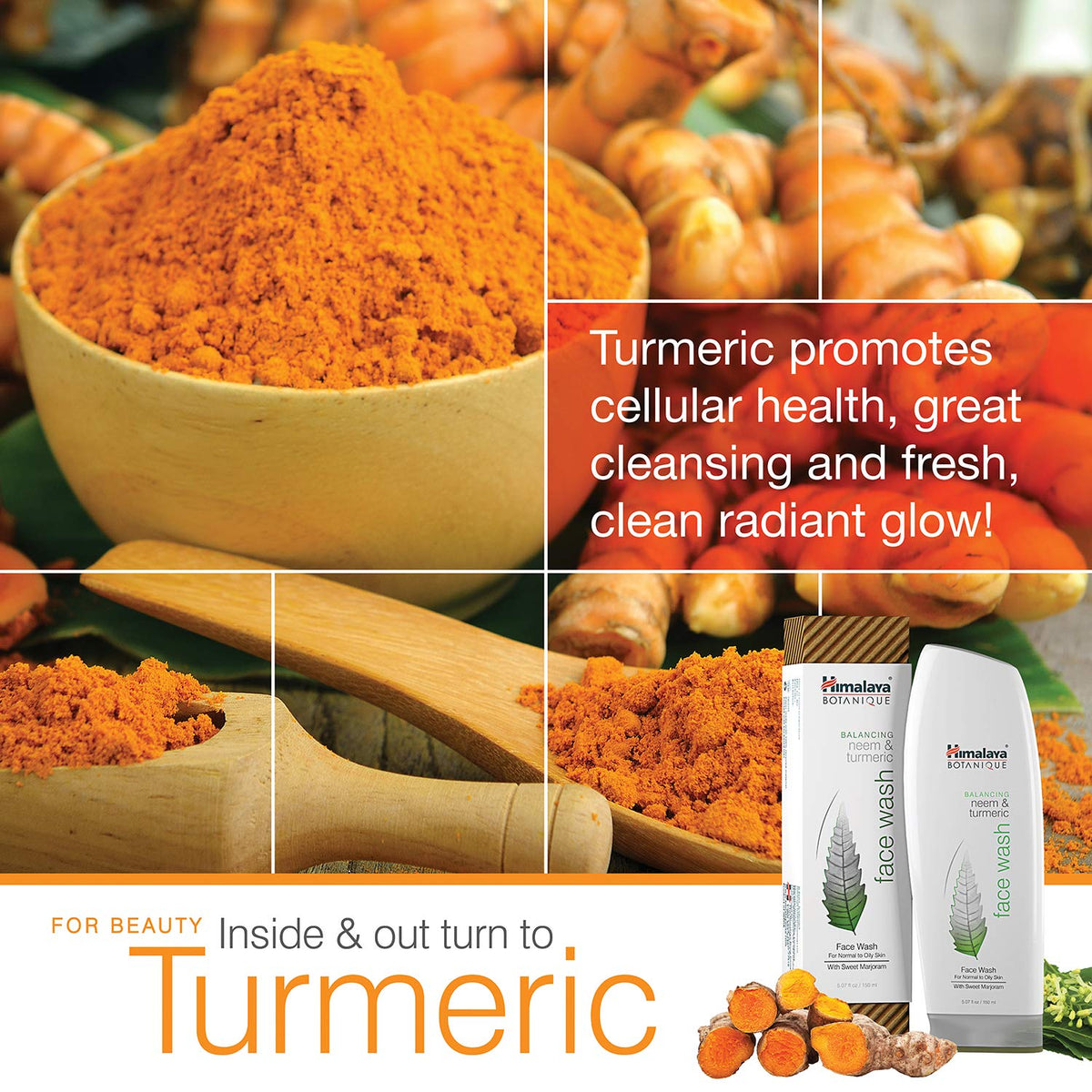 Himalaya Botanique neem and turmeric visuals illustrating botanical power