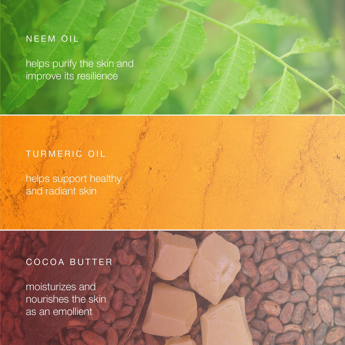 Himalaya bar in hand demonstrating bar size and easy handling