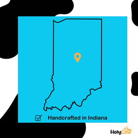 HolyCow size scale comparison beside a coin showing portable, travel-friendly size