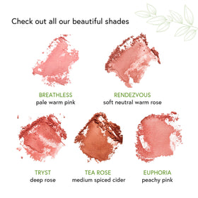 Honeybee Gardens blush worn on deep skin showing luminous finish benefit: flattering pigmentation