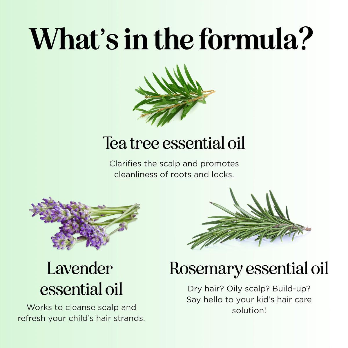 HONEYDEW lather on scalp, illustrating effective buildup removal