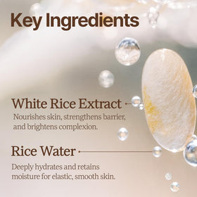 House of Dohwa close-up of rice grains in formula for gentle exfoliation