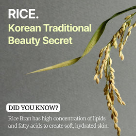 House of Dohwa gentle foam lather on fingers illustrating mild cleansing and soft finish