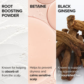 I DEW CARE applying powder at roots for instant lift and volume
