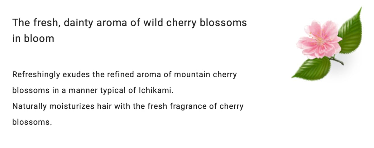 Ichikami label close-up highlighting key ingredients and protective benefits