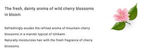 Ichikami label close-up highlighting key ingredients and protective benefits