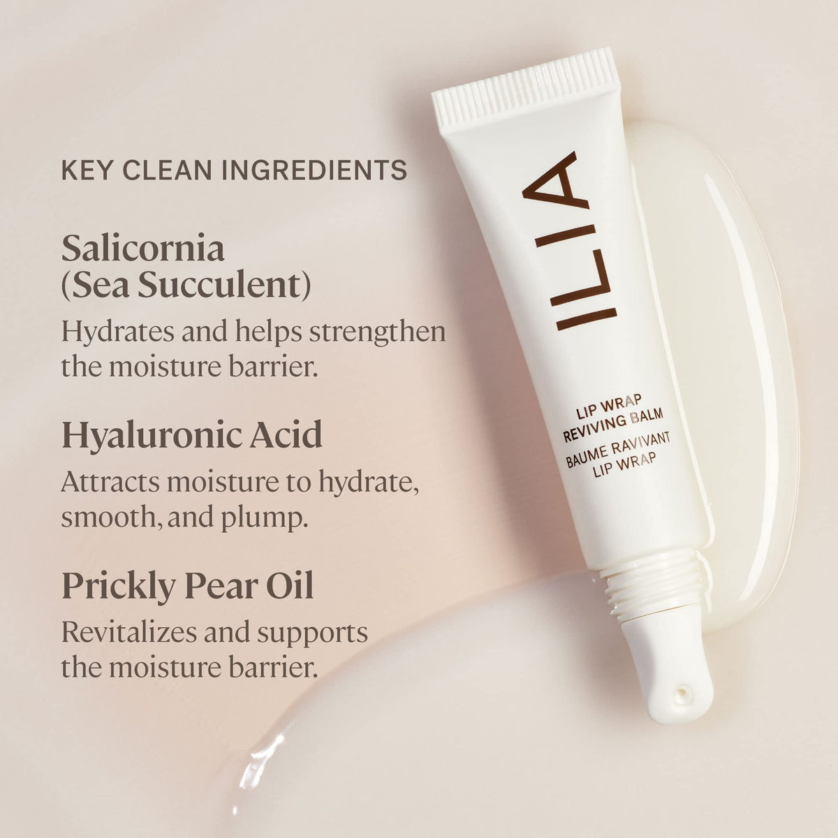 ILIA active ingredients arranged to show hyaluronic and sea succulent benefit