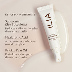 ILIA active ingredients arranged to show hyaluronic and sea succulent benefit