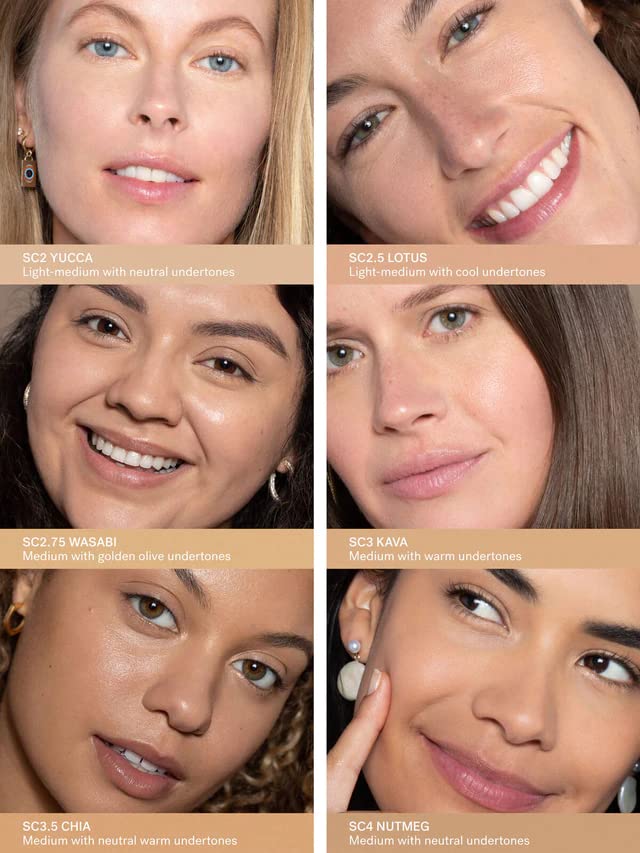 ILIA concealer next to brush and sponge suggesting application options