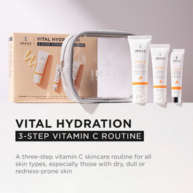 IMAGE Skincare clear travel bag with vital c set visible and organized