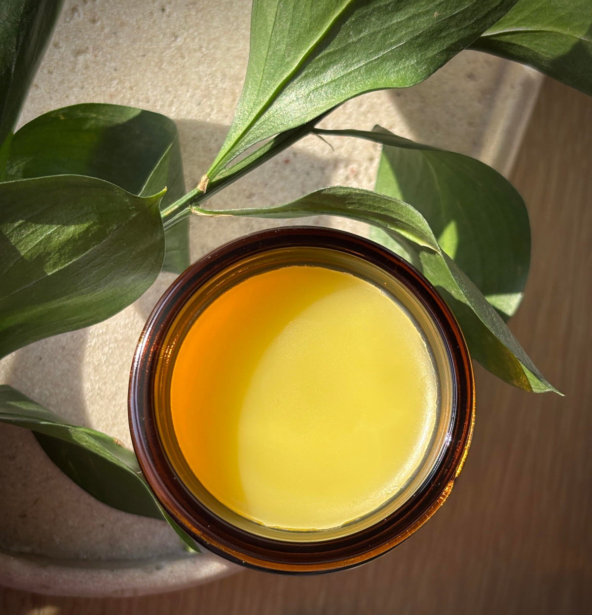 Indian Meadow Herbals salve texture close-up illustrating rich, spreadable balm