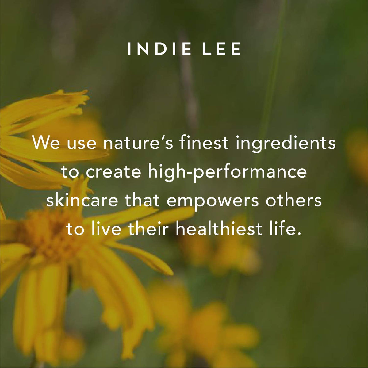 Indie Lee moisturizer on hand displaying fast absorption and instant plumping