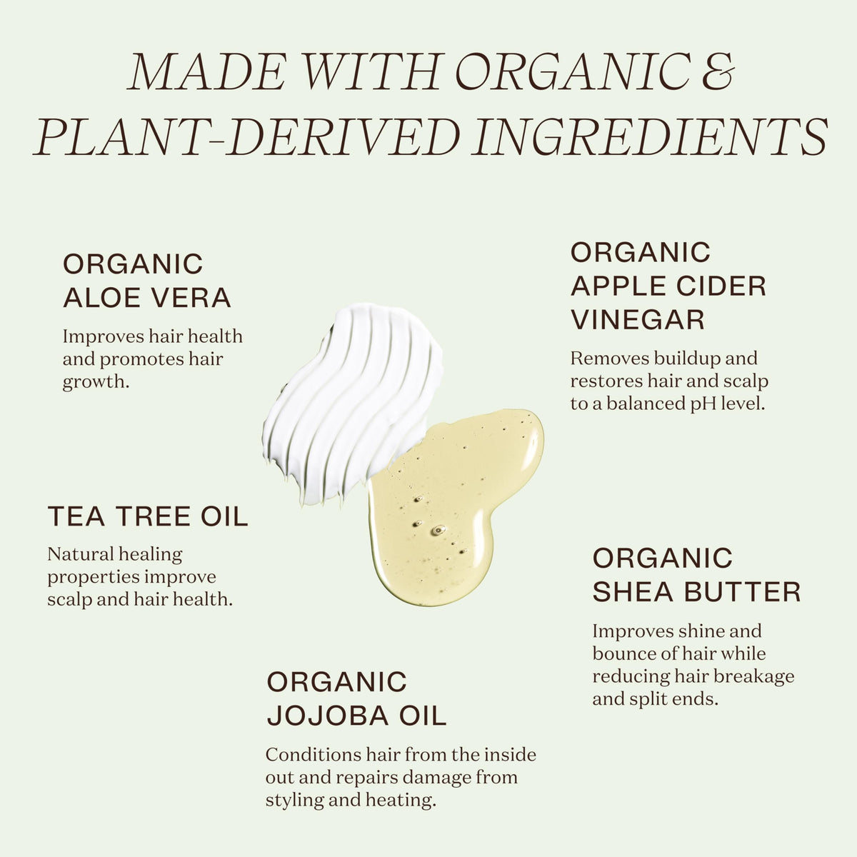 Ingreendients shampoo lather close-up demonstrating gentle foam and effective cleanse